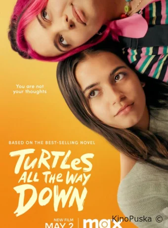 Черепахи – и нет им конца / Turtles All the Way Down 2024 смотреть онлайн Черепахи – и нет им конца / Turtles All the Way Down 2024 смотреть онлайн