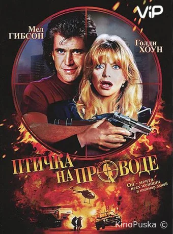 Птичка на проводе / Bird on a Wire 1990 смотреть онлайн