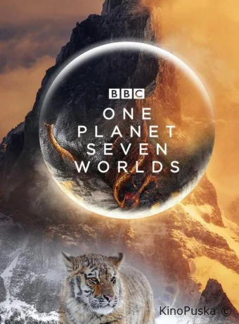 Сериал Семь миров, одна планета / Seven Worlds, One Planet 2019 смотреть онлайн 2 сезон 8 серия Сериал Семь миров, одна планета / Seven Worlds, One Planet 2019 смотреть онлайн 2 сезон 8 серия