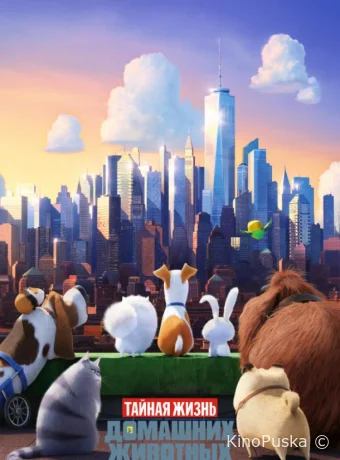 Тайная жизнь домашних животных / The Secret Life of Pets 2016 смотреть онлайн