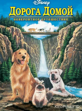 Дорога домой: Невероятное путешествие / Homeward Bound: The Incredible Journey 1993 смотреть онлайн Дорога домой: Невероятное путешествие / Homeward Bound: The Incredible Journey 1993 смотреть онлайн