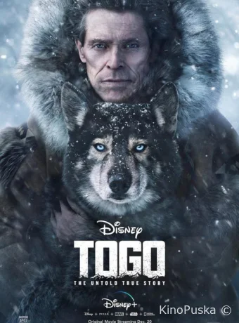 Того / Togo 2019 смотреть онлайн