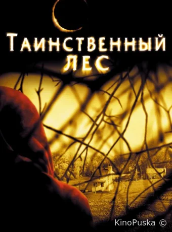 Таинственный лес / The Village 2004 смотреть онлайн Таинственный лес / The Village 2004 смотреть онлайн