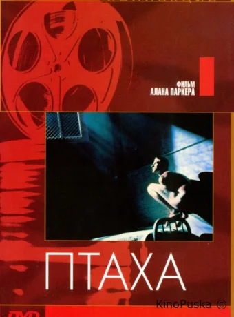 Птаха / Birdy 1984 смотреть онлайн