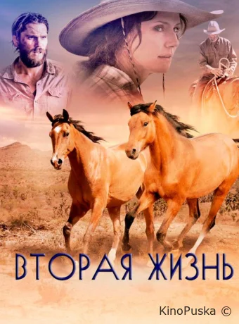 Вторая жизнь / Out of the Wild 2017 смотреть онлайн