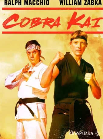 Сериал Кобра Кай / Cobra Kai 2018 смотреть онлайн 7 сезон 16 серия Сериал Кобра Кай / Cobra Kai 2018 смотреть онлайн 7 сезон 16 серия
