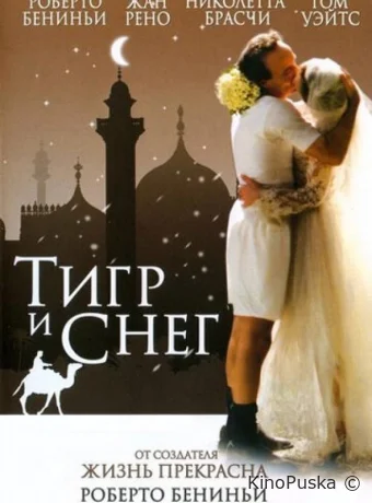 Тигр и снег / La tigre e la neve 2005 смотреть онлайн