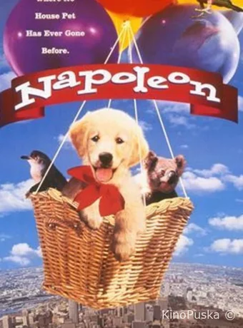 Наполеон / Napoleon 1995 смотреть онлайн Наполеон / Napoleon 1995 смотреть онлайн