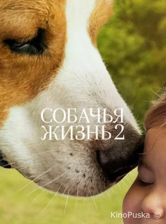 Собачья жизнь 2 / A Dog's Journey 2019 смотреть онлайн Собачья жизнь 2 / A Dog's Journey 2019 смотреть онлайн