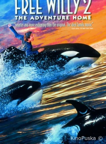 Освободите Вилли 2 / Free Willy 2 1995 смотреть онлайн Освободите Вилли 2 / Free Willy 2 1995 смотреть онлайн