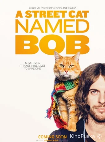 Уличный кот по кличке Боб / A Street Cat Named Bob 2016 смотреть онлайн Уличный кот по кличке Боб / A Street Cat Named Bob 2016 смотреть онлайн