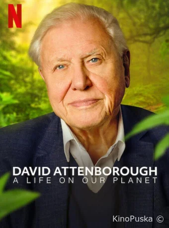 Дэвид Аттенборо: Жизнь на нашей планете / David Attenborough: A Life on Our Planet 2020 смотреть онлайн