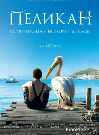 Пеликан / Nicostratos le pélican 2011 смотреть онлайн Пеликан / Nicostratos le pélican 2011 смотреть онлайн