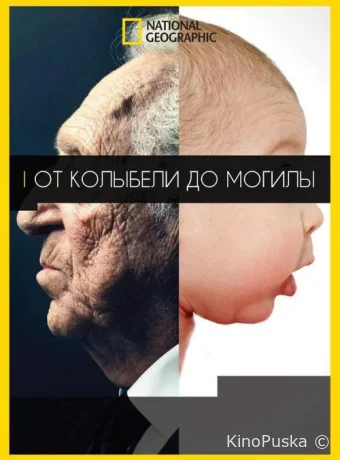 От колыбели до могилы / Cradle to Grave 2017 смотреть онлайн От колыбели до могилы / Cradle to Grave 2017 смотреть онлайн