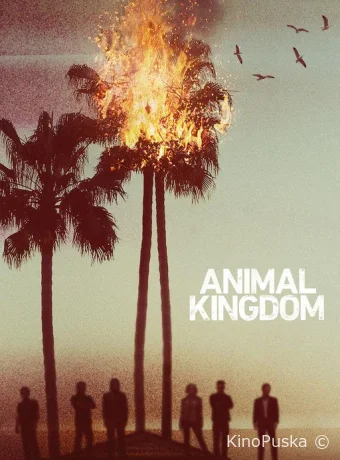 Сериал По волчьим законам / Animal Kingdom 2016 смотреть онлайн 7 сезон 14 серия Сериал По волчьим законам / Animal Kingdom 2016 смотреть онлайн 7 сезон 14 серия