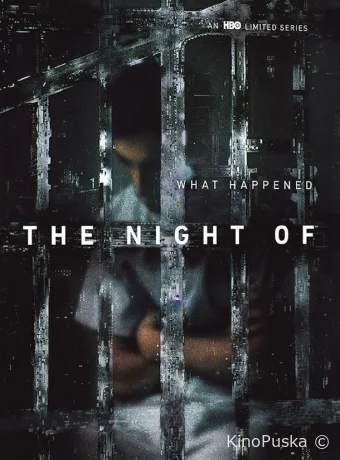 Сериал Однажды ночью / The Night Of 2016 смотреть онлайн 2 сезон 9 серия