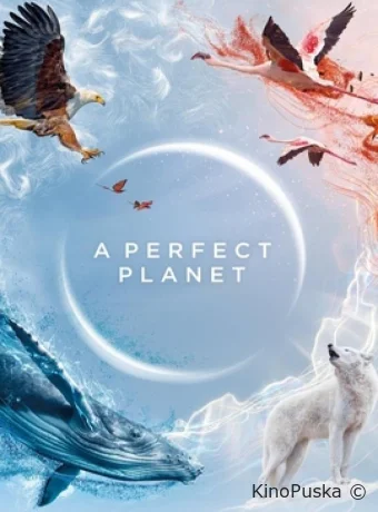 Сериал Идеальная планета / A Perfect Planet 2021 смотреть онлайн 2 сезон 6 серия Сериал Идеальная планета / A Perfect Planet 2021 смотреть онлайн 2 сезон 6 серия