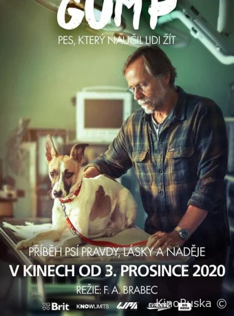 Гамп — пёс, который научил людей жить / Gump - pes, který naucil lidi zít 2021 смотреть онлайн Гамп — пёс, который научил людей жить / Gump - pes, který naucil lidi zít 2021 смотреть онлайн