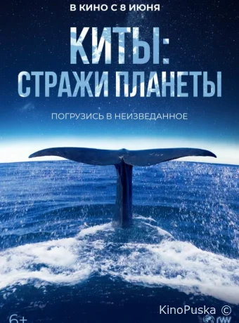 Киты: Стражи планеты / Les gardiennes de la planète 2023 смотреть онлайн