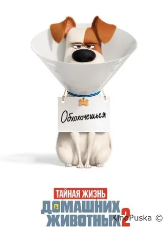 Тайная жизнь домашних животных 2 / The Secret Life of Pets 2 2019 смотреть онлайн