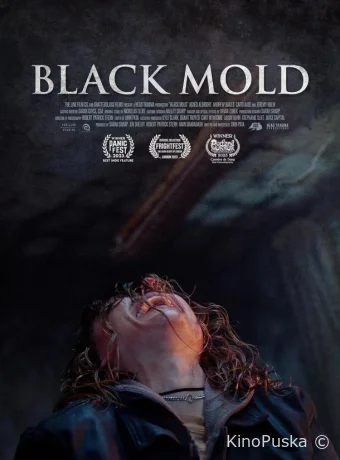 Сталкер. Черная плесень / Black Mold 2023 смотреть онлайн