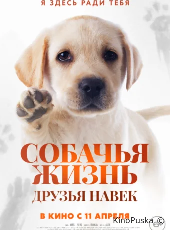 Собачья жизнь: Друзья навек / Zai jian, Li Kele 2023 смотреть онлайн Собачья жизнь: Друзья навек / Zai jian, Li Kele 2023 смотреть онлайн