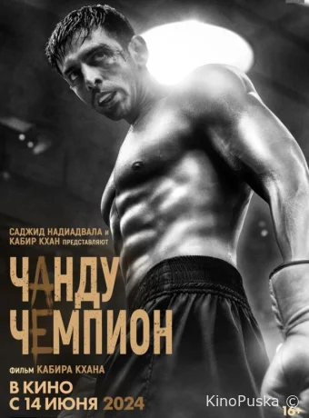 Чанду – чемпион / Chandu Champion 2024 смотреть онлайн