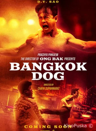 Разборки в Бангкоке / Bangkok Dog 2024 смотреть онлайн