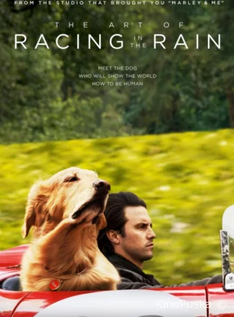 Невероятный мир глазами Энцо / The Art of Racing in the Rain 2019 смотреть онлайн